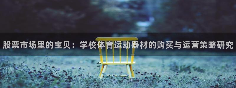好博体育是什么：股票市场里的宝贝：学校体育运动器材的购买与运营策略研究